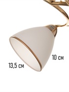 Люстра потолочная BayerLux «Андер», 5хЕ27, 40 Вт, золото, 44×44×24 см - Фото 6