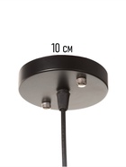 Светильник потолочный BayerLux «Рэдклифф» (Листья), 1×40 Вт, Е27, черный, 18×18×26+100 см 10531027 Светильник потолочный BayerLux «Рэдклифф» (Листья), 1×40 Вт, Е27, черный, 18×18×26+100 см 10531027