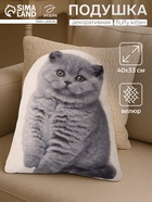 Подушка «Этель» Fluffy kitten, 40×33 см, 100% п/э, велюр - Фото 1