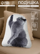 Подушка декоративная «Этель» Playful cat, 40×33 см, велюр - Фото 1