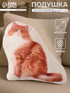 Подушка декоративная «Этель» Ginger cat, 40×33 см, велюр - Фото 1