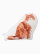 Подушка декоративная «Этель» Ginger cat, 40×33 см, велюр - Фото 2