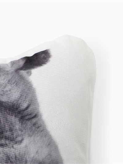 Подушка «Этель» Сat family 40×33 см, 100% п/э, велюр