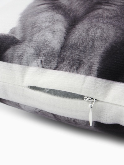 Подушка «Этель» Сat family 40×33 см, 100% п/э, велюр