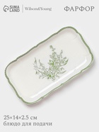 Блюдо для подачи WY Bloomware, 25×14×2.5 см, фарфор, зелёное/белое - Фото 1