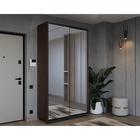 Шкаф-купе PRIME, 2 двери, 2 зеркала,1600×604×2300 мм, цвет венге темный - Фото 4