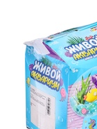 Уценка Набор для опытов «Живой аквариум: Морские обитатели», вырасти травку - Фото 5