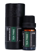 Эфирное масло «Чайное дерево», 10 мл, в тубусе - Фото 1