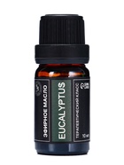 Эфирное масло «Эвкалипт», 10 мл, в тубусе 10829694