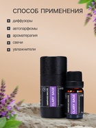 Эфирное масло «Блестящий шалфей», 10 мл, в тубусе - Фото 3