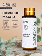 Эфирное масло «Эвкалипт», 10 мл, с пипеткой - Фото 1