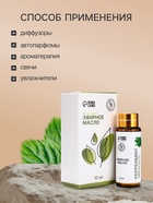 Эфирное масло «Перечная мята», 10 мл, с пипеткой - Фото 3