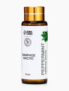 Эфирное масло «Перечная мята», 10 мл, с пипеткой - фото 23586909