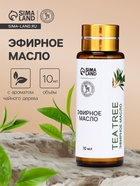 Эфирное масло «Чайное дерево», 10 мл, с пипеткой - Фото 1