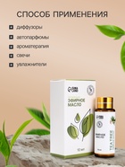 Эфирное масло «Чайное дерево», 10 мл, с пипеткой - Фото 3