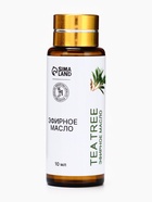 Эфирное масло «Чайное дерево», 10 мл, с пипеткой - Фото 4