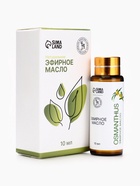 Эфирное масло «Османтус», 10 мл, с пипеткой - Фото 4