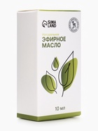 Эфирное масло «Розмарин», 10 мл, с пипеткой - Фото 2