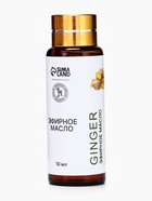 Эфирное масло «Имбирь», 10 мл, с пипеткой - фото 23586948