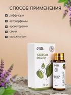 Эфирное масло «Шалфей мускатный», 10 мл, с пипеткой - Фото 3