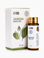 Эфирное масло «Шалфей мускатный», 10 мл, с пипеткой - Фото 4