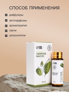 Эфирное масло «Тимьян», 10 мл, с пипеткой - Фото 3