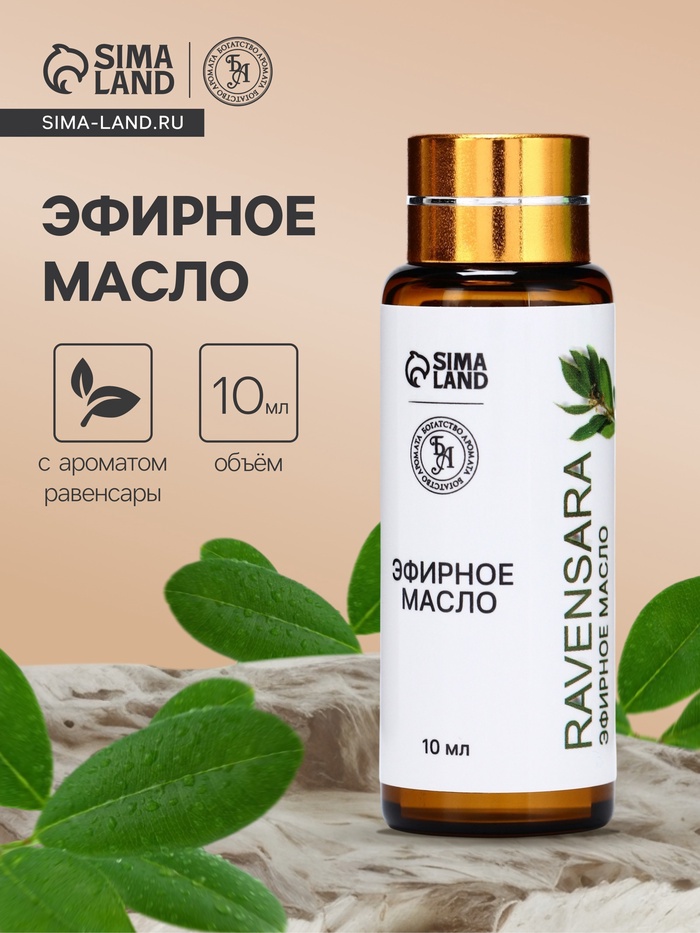 Эфирное масло «Равенсара», 10 мл, с пипеткой - Фото 1