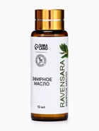 Эфирное масло «Равенсара», 10 мл, с пипеткой - Фото 4