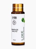 Эфирное масло «Лайм», 10 мл, с пипеткой - Фото 4