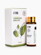 Эфирное масло «Чёрный перец», 10 мл, с пипеткой - Фото 1