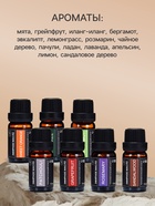 Набор эфирных масел «Бергамот, эвкалипт, грейпфрут...», 14 шт. по 10 мл, в коробке - Фото 1