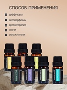 Набор эфирных масел «Бергамот, эвкалипт, грейпфрут...», 14 шт. по 10 мл, в коробке - Фото 3