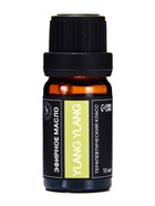 Набор эфирных масел «Бергамот, эвкалипт, грейпфрут...», 14 шт. по 10 мл, в коробке - Фото 30