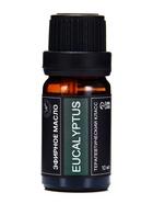 Набор эфирных масел «Бергамот, эвкалипт, грейпфрут...», 14 шт. по 10 мл, в коробке - Фото 4