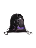 Мешок для обуви Stavia на шнурке, с принтом, надписью, размер 43×0.5×36 см, чёрный/сиреневый - Фото 1
