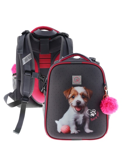 Рюкзак каркасный, школьный, 38×30×16 см, эргономичная спинка «Щенок»