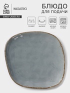 Блюдо для подачи Magistro Alpine Frost, 23×21×2.5, фарфор, голубовато-серый - Фото 1