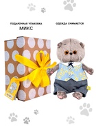 Мягкая игрушка «Кот Басик BABY в жилете и брюках», 20 см - Фото 2