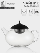 Чайник заварочный Magistro «Дроппер», 1 л, 22×14 см, с металлическим ситом, стекло, прозрачный - Фото 1