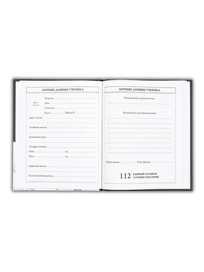 Дневник школьный для 5-11 класса, в твердой обложке, 48 л., Black