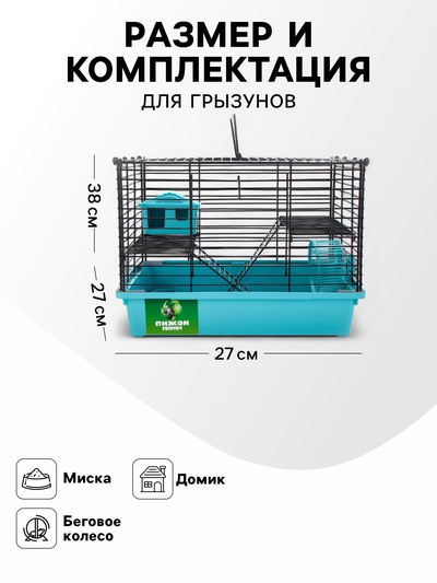 Клетка для грызунов «Пижон», 38×27×27 см, складная, домик, миска, колесо, бирюзовая