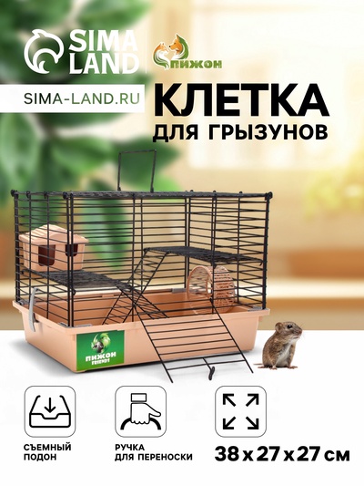 Клетка для грызунов «Пижон», 38×27×27 см, складная, домик, миска, колесо, бежевая