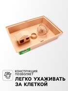 Клетка для грызунов «Пижон», 38×27×27 см, складная, домик, миска, колесо, бежевая - Фото 3