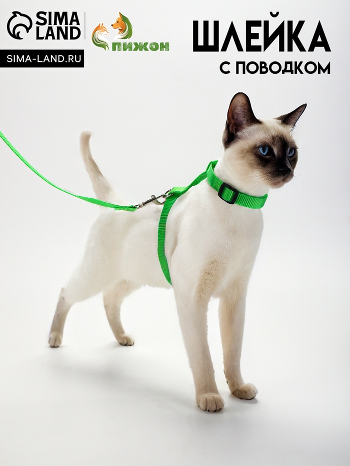 Комплект для кошек, ширина 1,5 см, ОШ 16,5-27 см, ОГ 21-35 см, поводок 120 см, зелёный - Фото 1