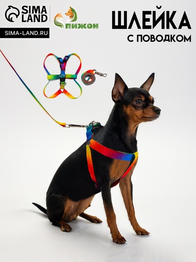 Комплект «Радуга», капрон, поводок 120×1.5 см, ОГ 24-34 см, разноцветный