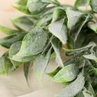 Букет искусственный «Травка широкие листья», 30 см 1049656