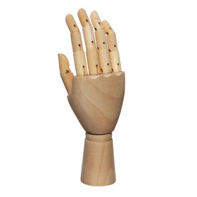 {{photo.Alt || photo.Description || 'УЦЕНКА Модель деревянная Calligrata «Рука детская правая» 18 см'}}