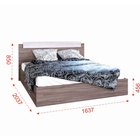 УЦЕНКА Кровать двуспальная, 1600×2000 мм, цвет ясень шимо светлый/ясень шимо тёмный - Фото 3