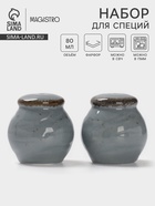 Набор для специй Magistro Alpine Frost, 2 предмета: перечница, солонка, 80 мл, 5×6 см, фарфор, голубовато-серый - Фото 1