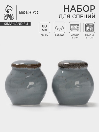 Набор для специй Magistro Alpine Frost, 2 предмета: перечница, солонка, 80 мл, 5×6 см, фарфор, голубовато-серый